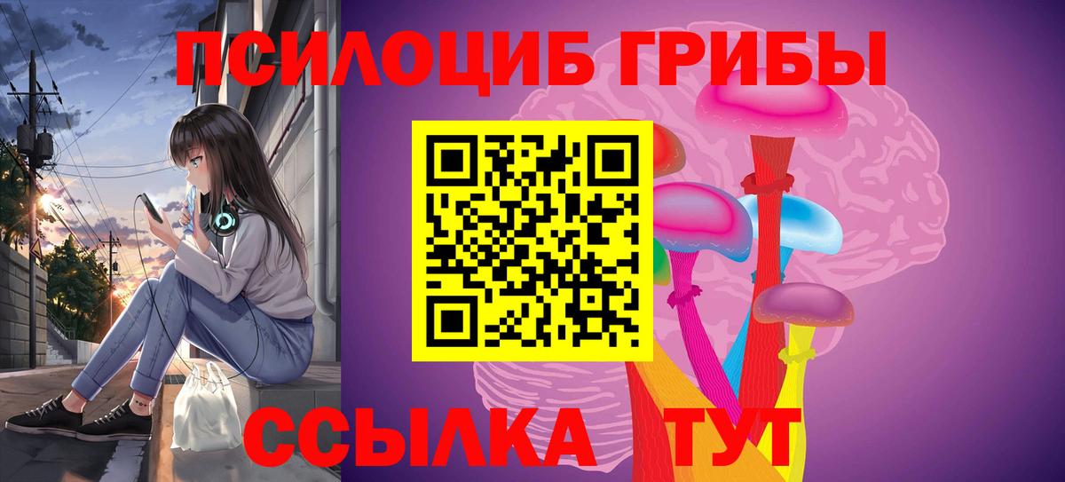 Псилоцибиновые грибы Psilocybe Дубна